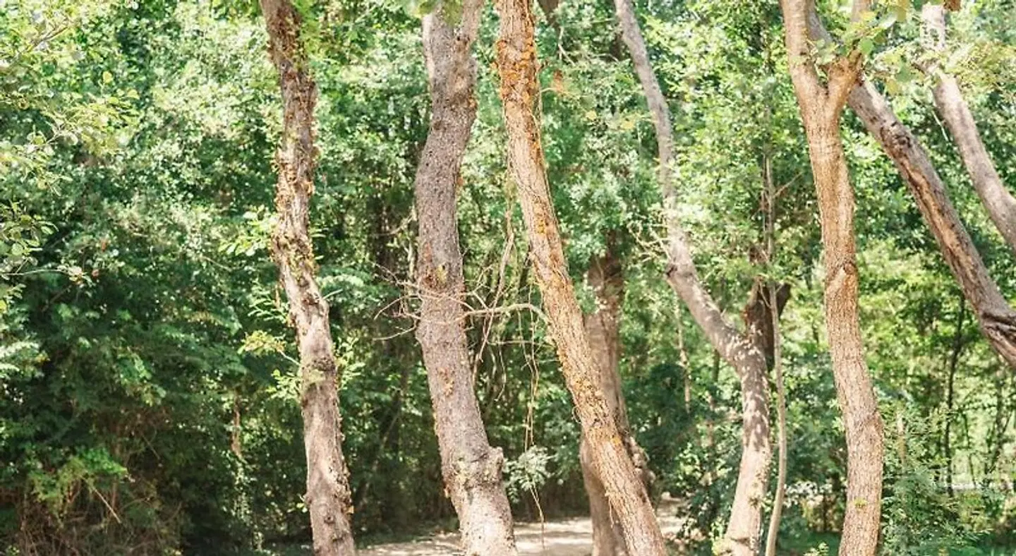Congo Bungalow LANDSCAPE