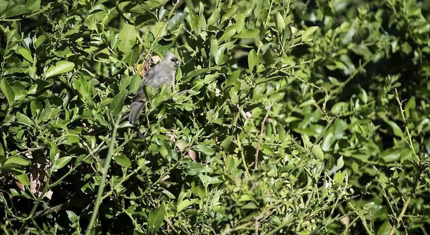 The Outpost Lodge LANDSCAPE