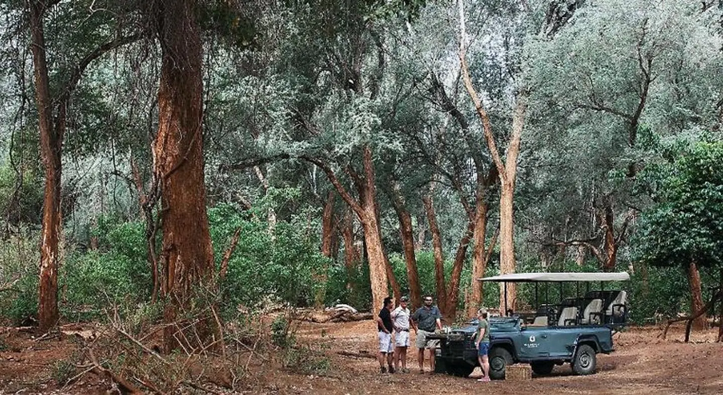 The Outpost Lodge Tiere