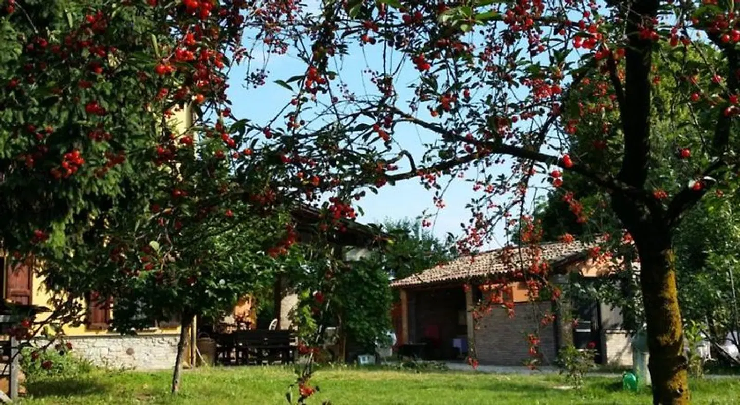 B&B L'Albero Cavo EXTERIOR