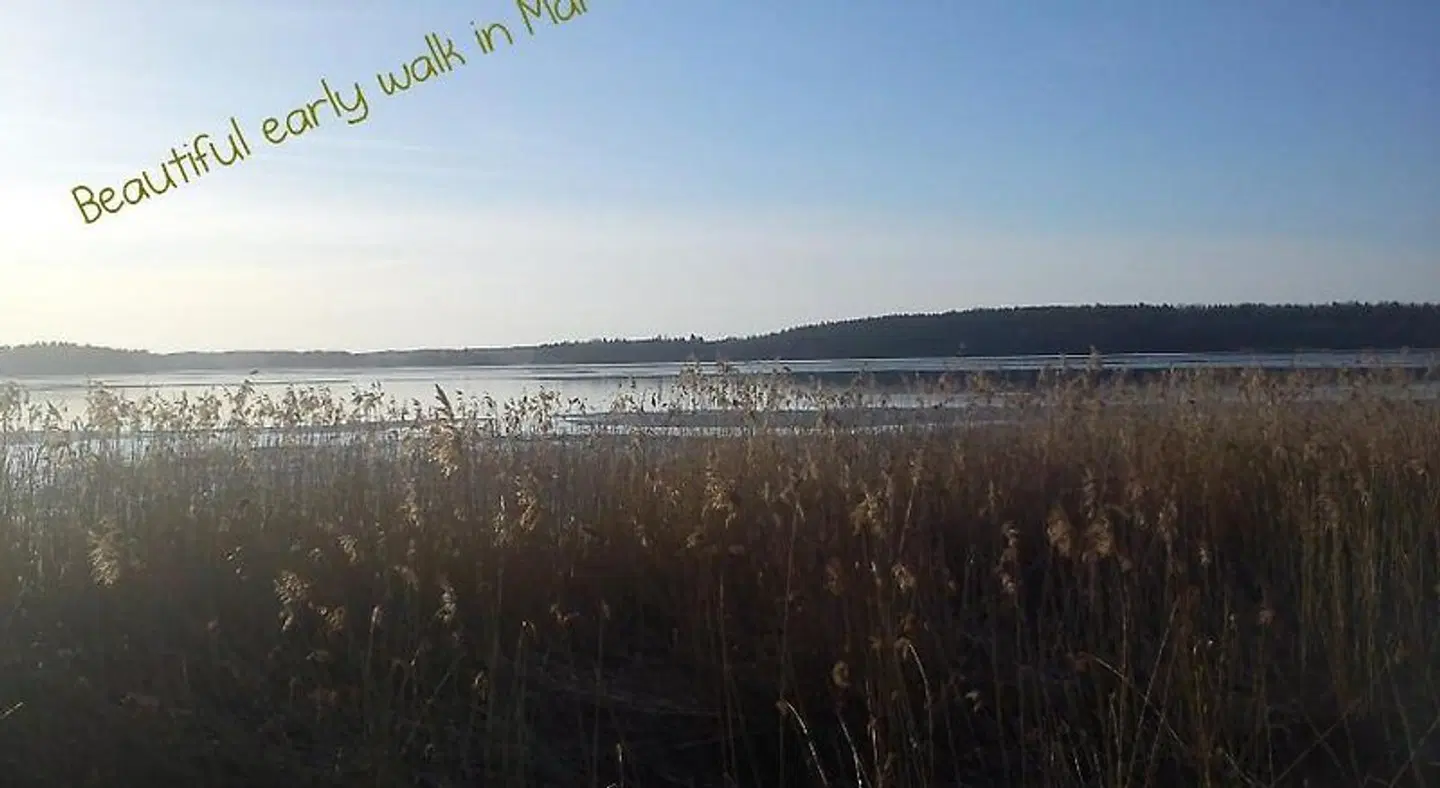 Vandrarhemmet Hvilan Norrtälje LANDSCAPE