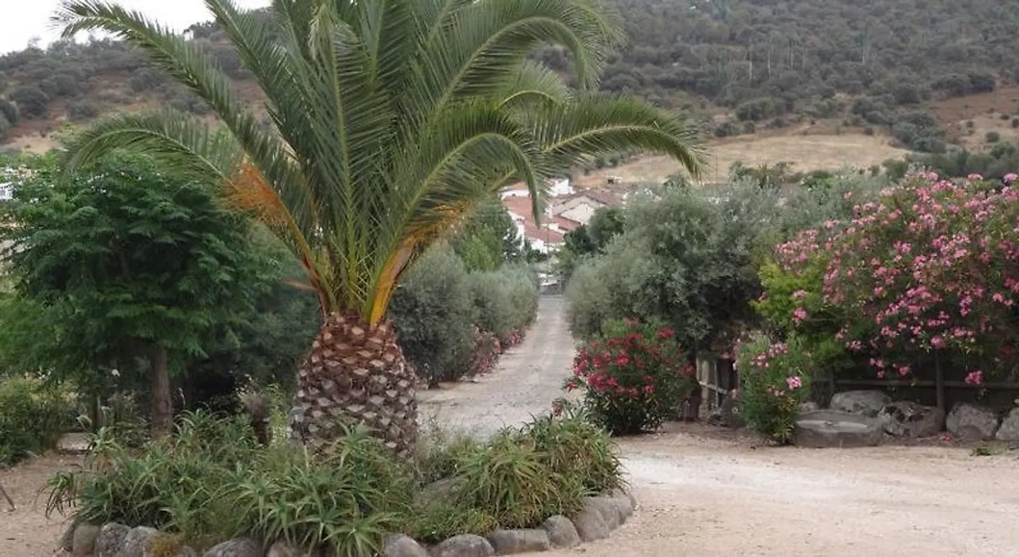 Casa Saramago Garten