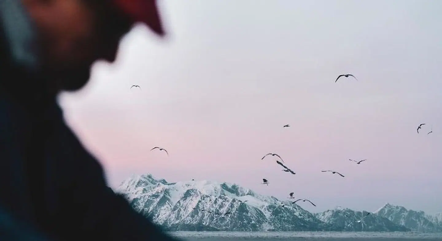 Holmen Lofoten LANDSCAPE