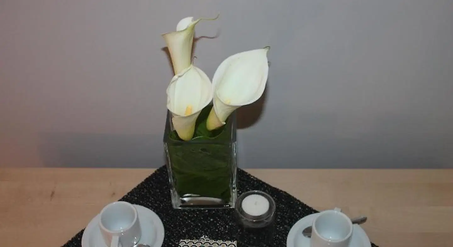 Casa das Quatro Cabeças HEALTH_BEAUTY
