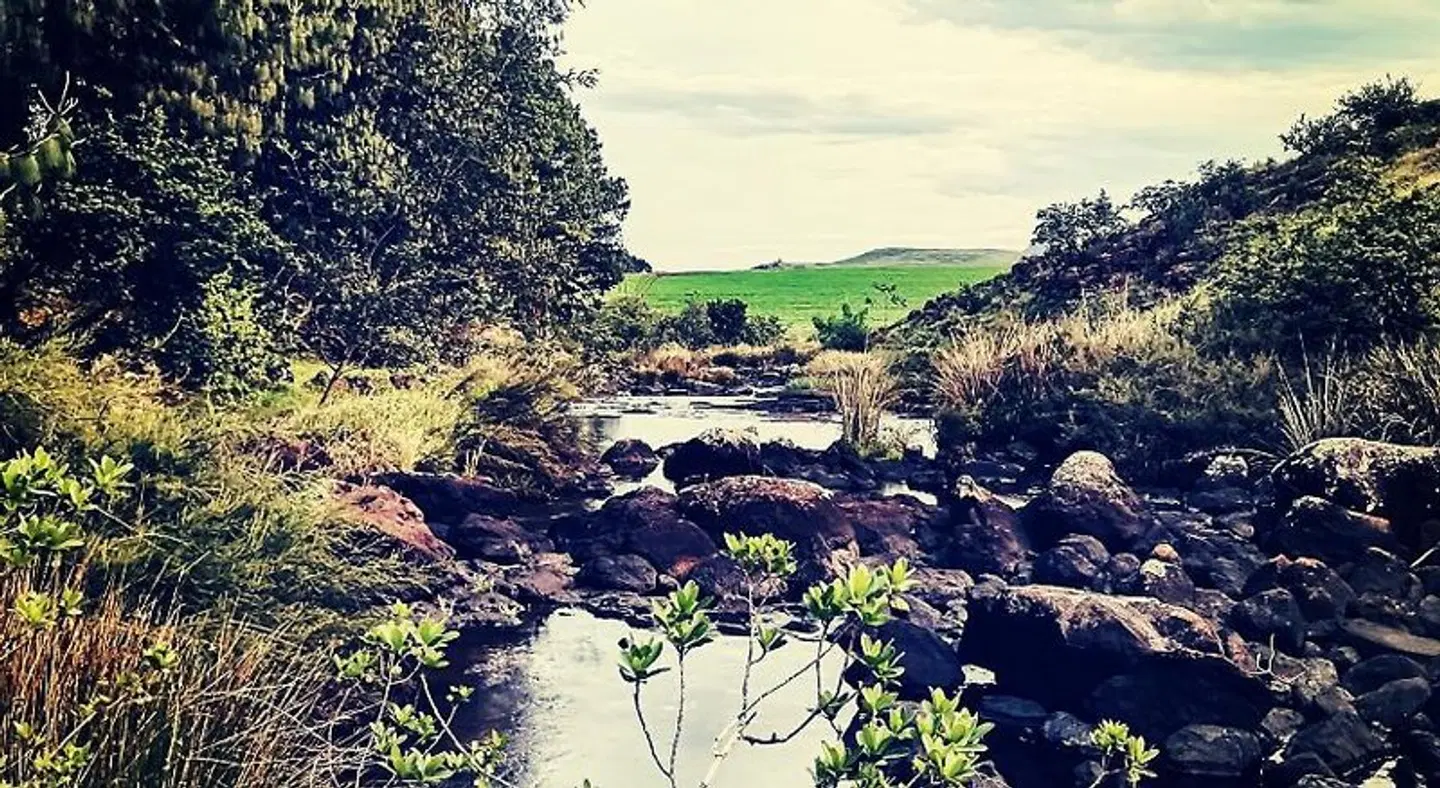Otters Den Self Catering Cottages LANDSCAPE