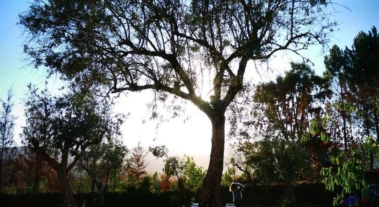 Quinta do Castanheiro LANDSCAPE