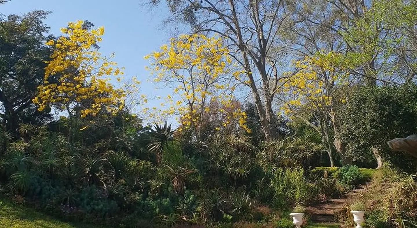 18 Pioneer Kloof LANDSCAPE