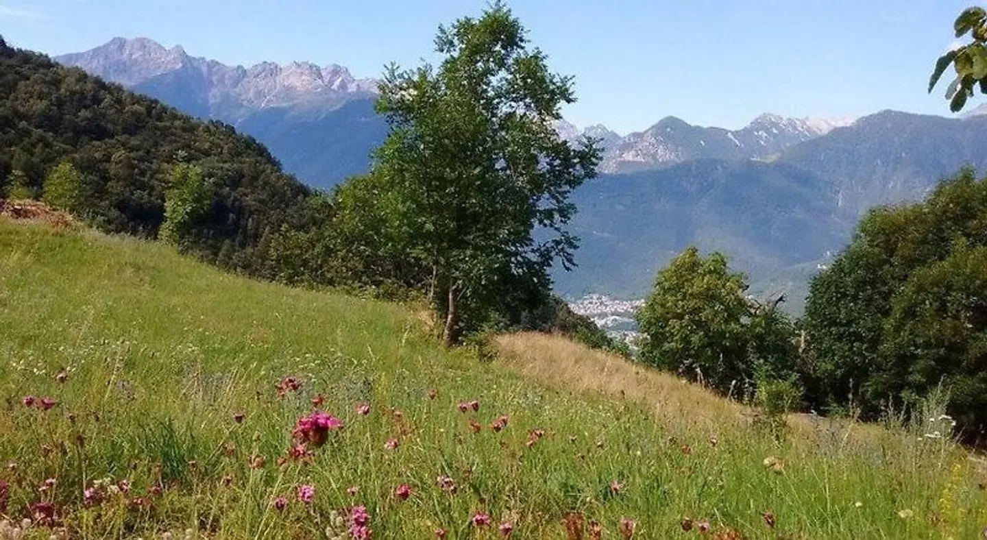 Rifugio Uschione LANDSCAPE