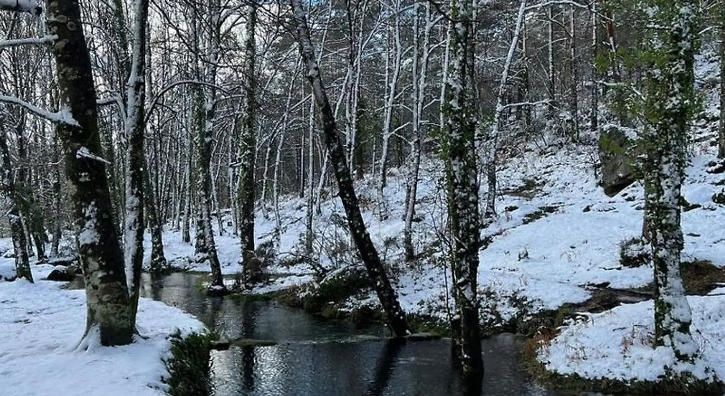 Casa da Adega - Gerês North of Portugal LANDSCAPE