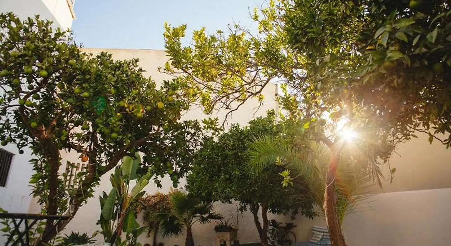 Orange3 Hostel LANDSCAPE