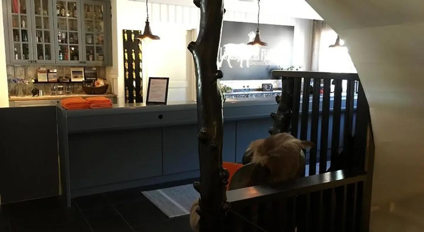 Lövåsgårdens Fjällhotell LOUNGE_LOBBY