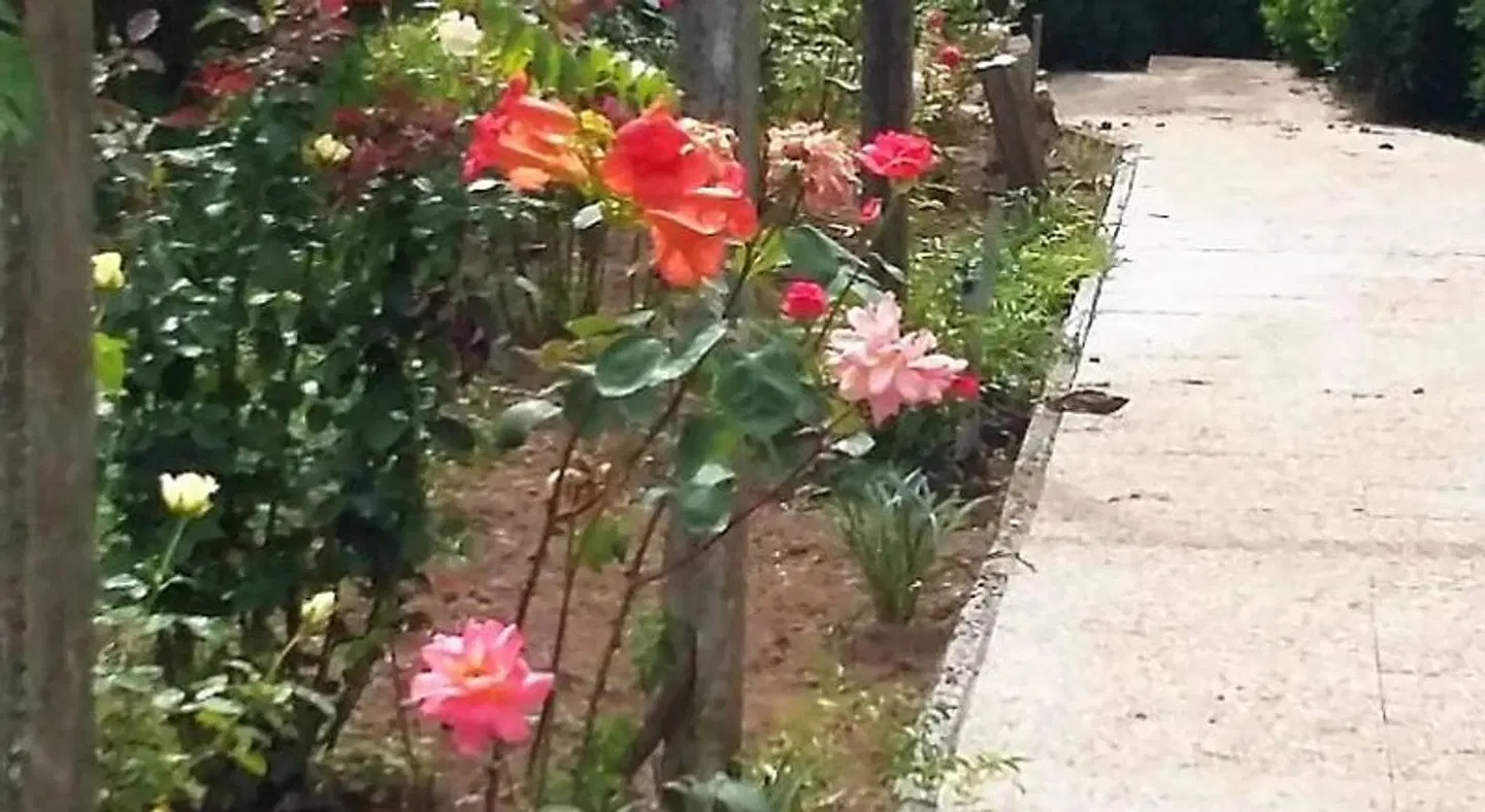 Quinta D'Avo Amelia LANDSCAPE