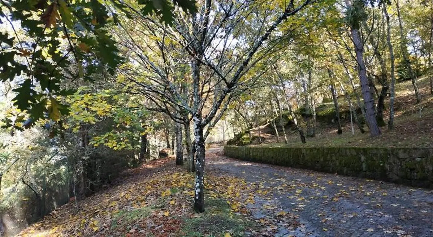Casa de Apeleiras Garten