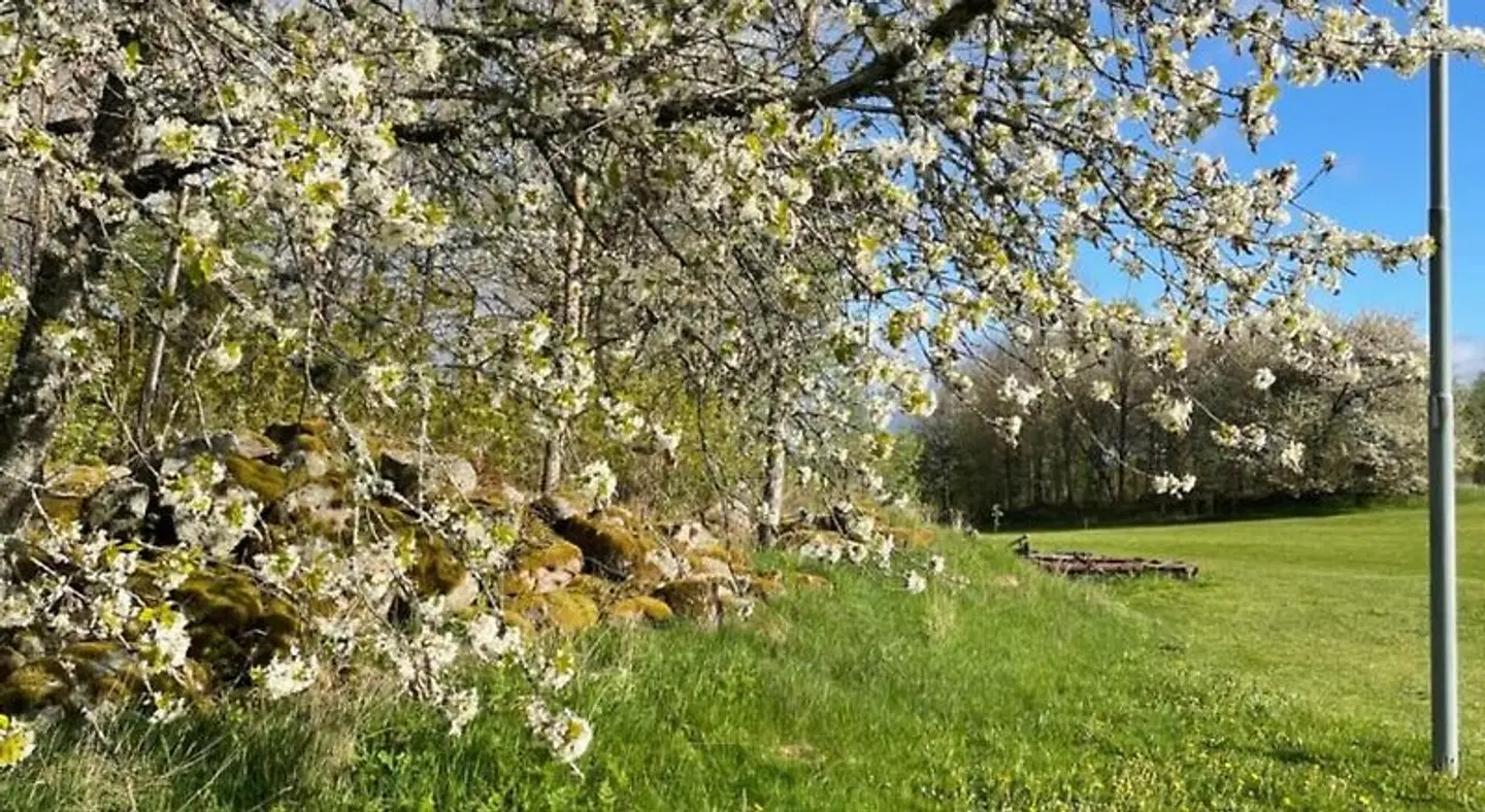 Boaryd Golf B&B LANDSCAPE