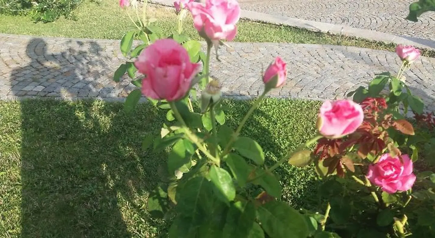 B&b la valletta LANDSCAPE