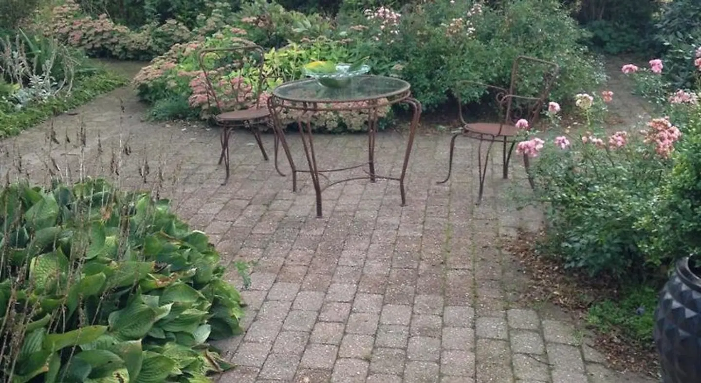 Country B&B Horsens Tiere