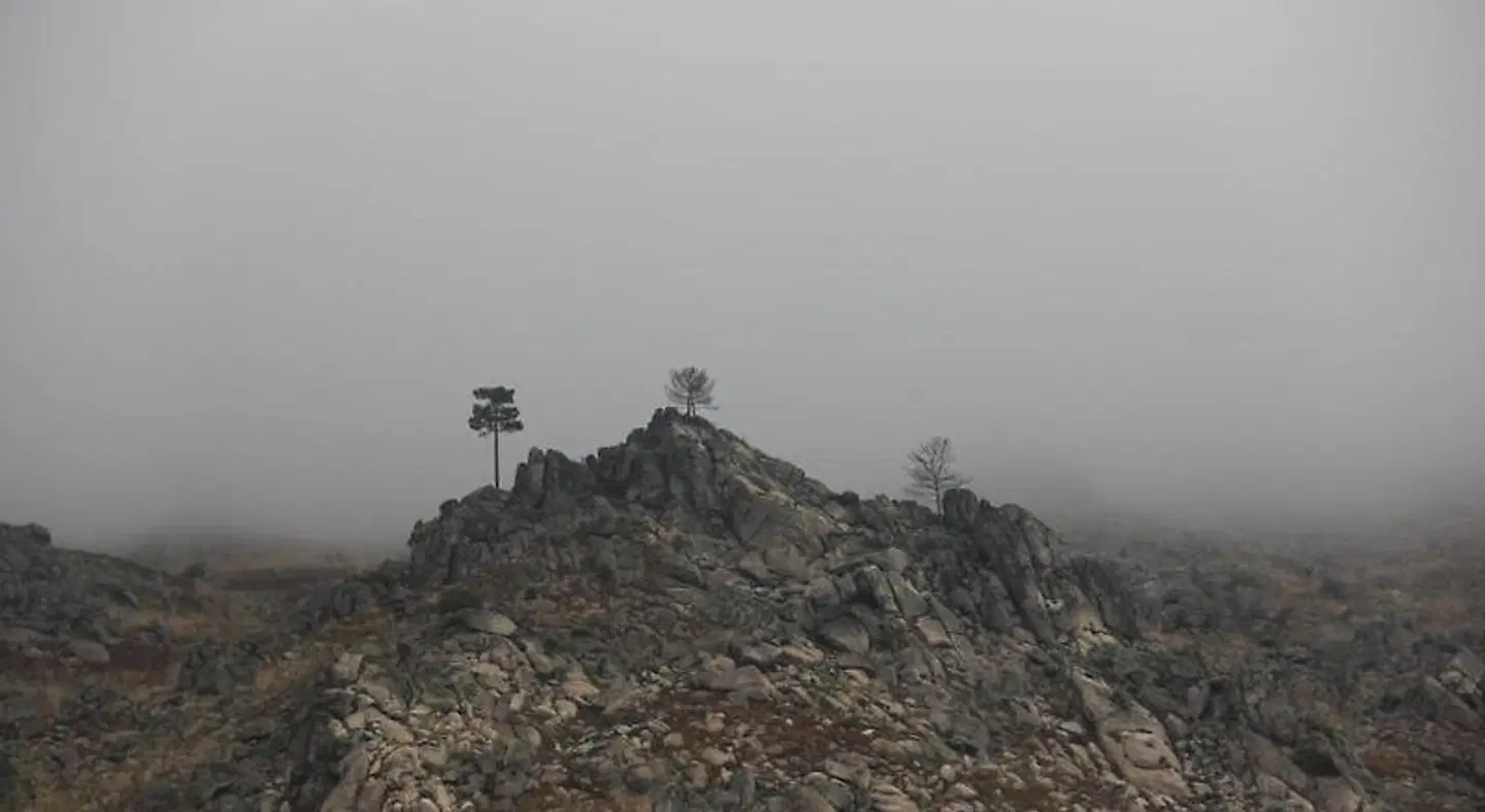 Pedra Nova - Turismo d'aldeia LANDSCAPE