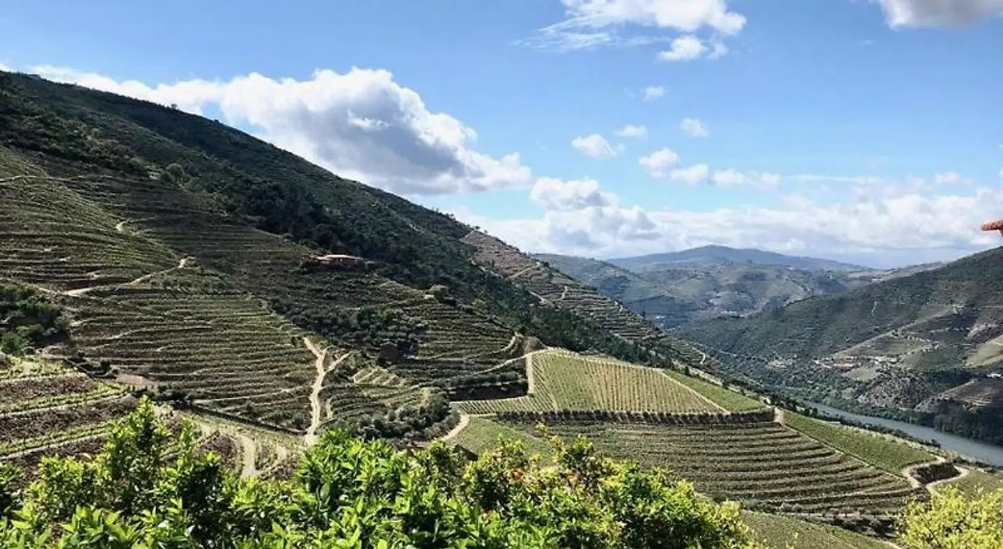 Quinta da Gricha LANDSCAPE