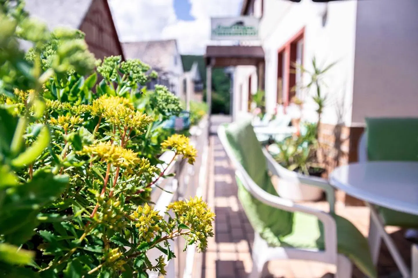 Gasthaus Tannenhof Terrasse