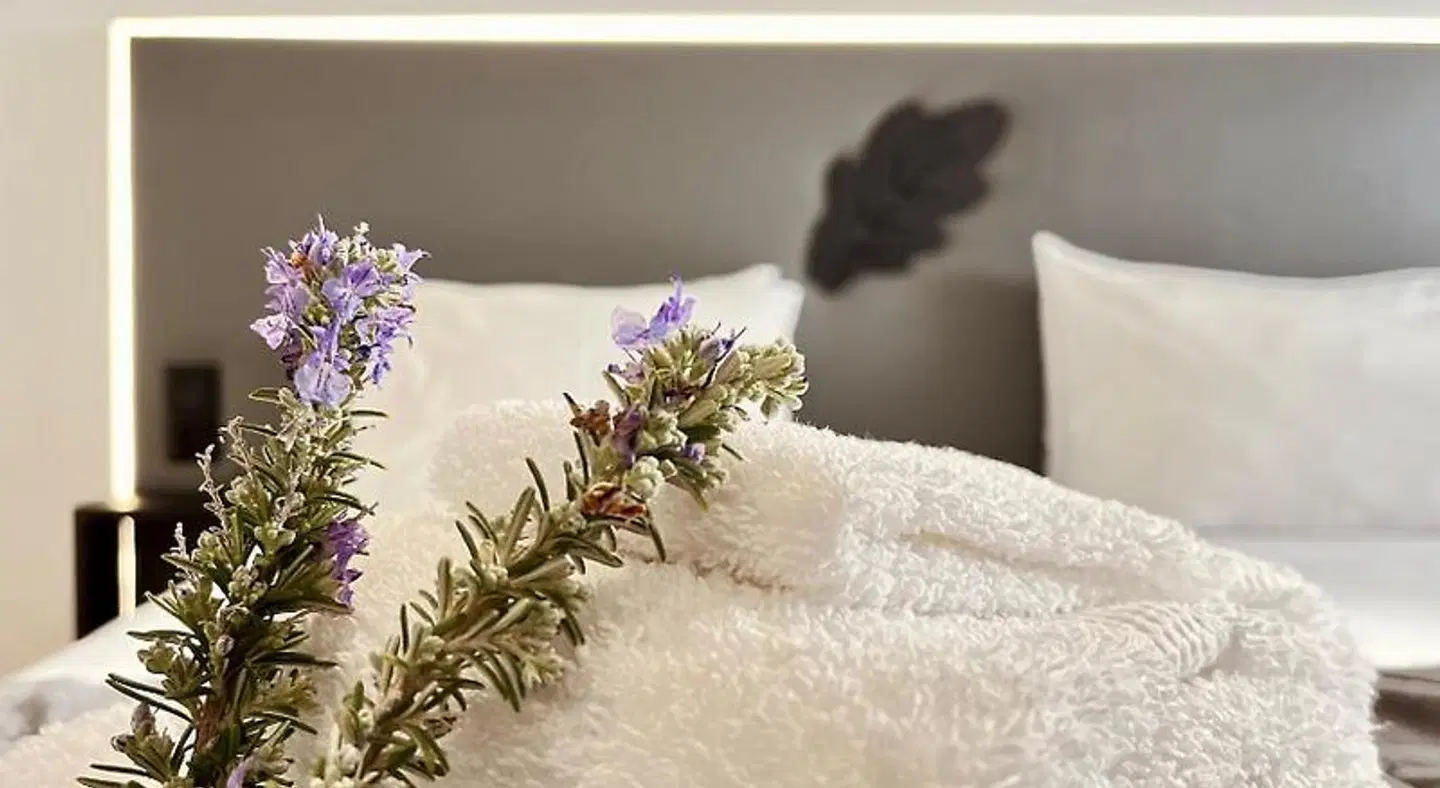 BHDouro ROOM_EXAMPLE