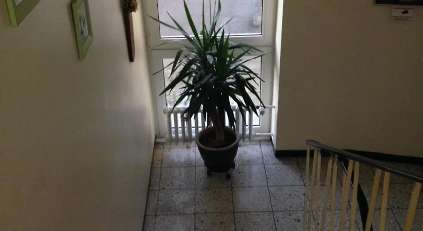Luitpold Terrasse