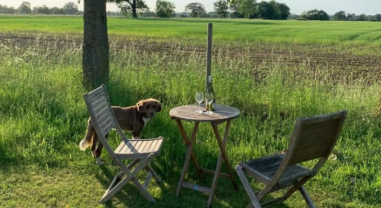 Bluebell Barn B And B Garten