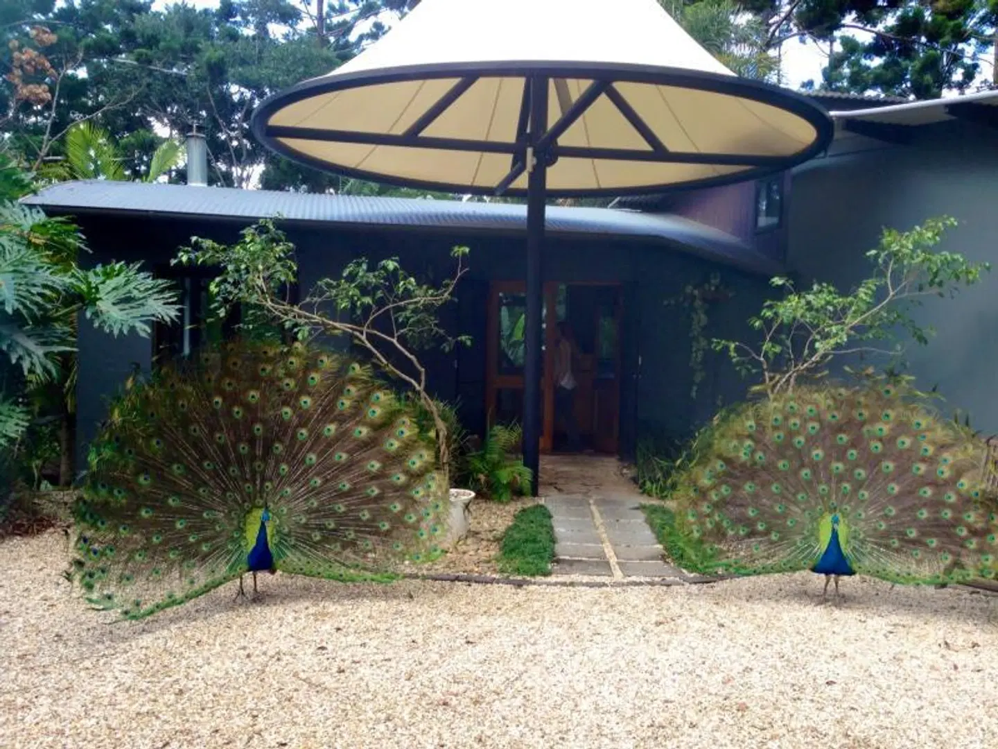 Azabu Boutique Accommodation EXTERIOR