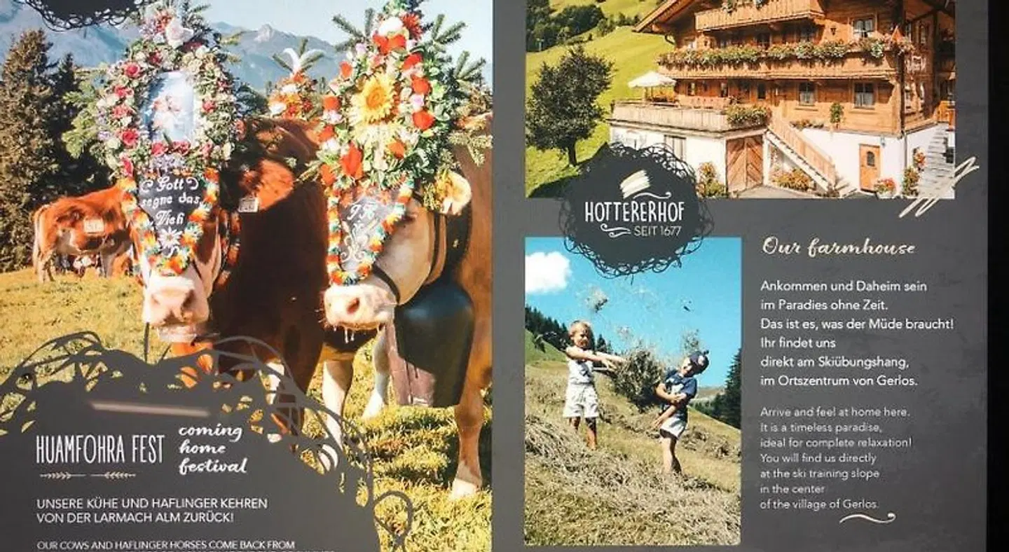 Hottererhof Tiere