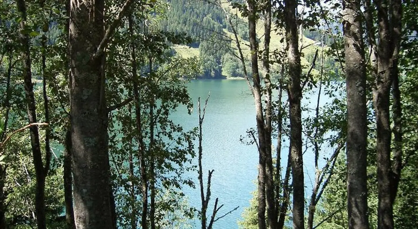 Gästehaus Elfriede LANDSCAPE