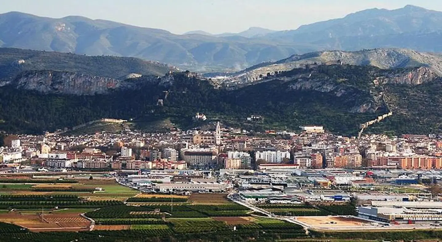 Vernisa LANDSCAPE