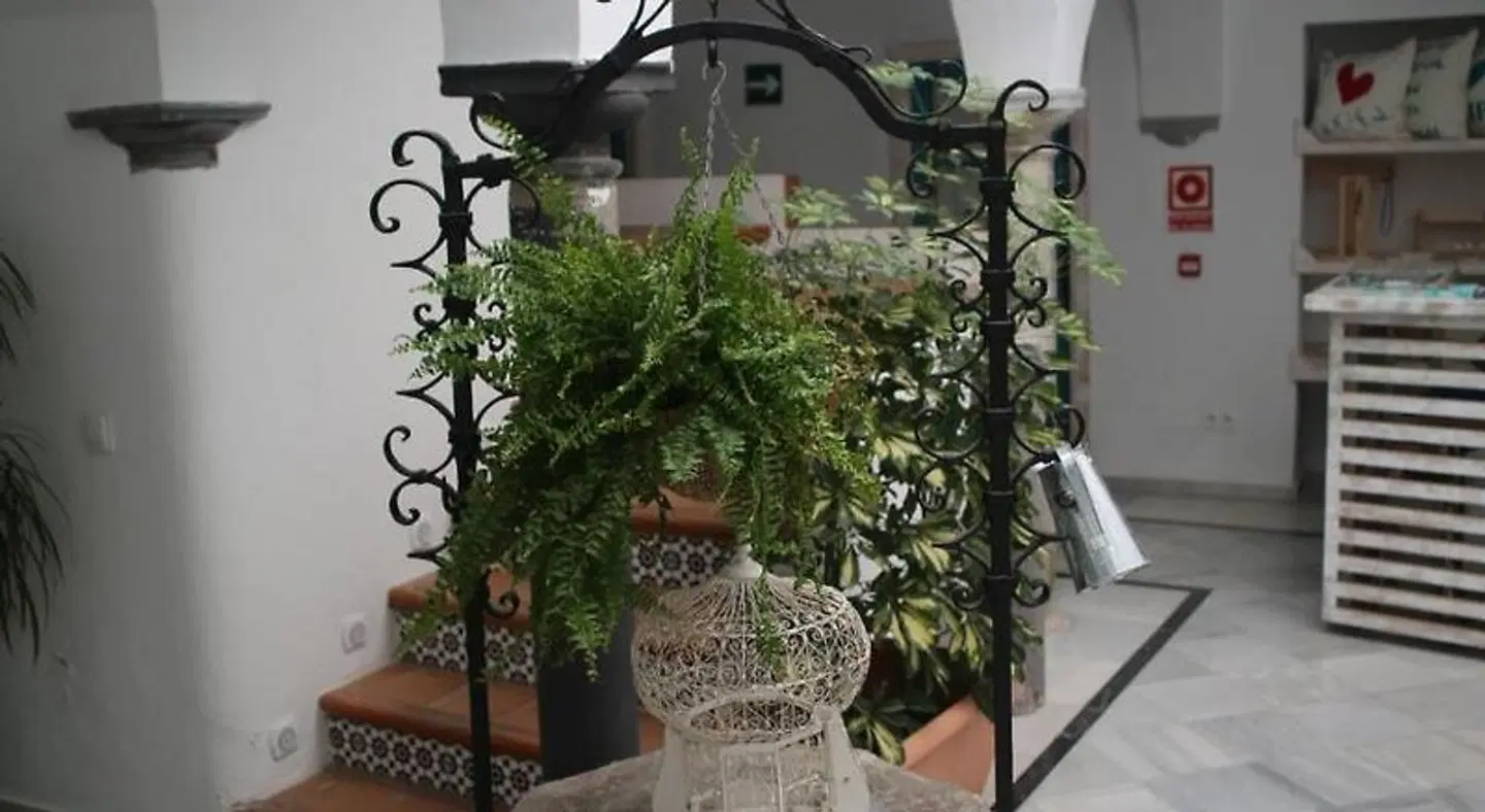 Wake Up In Tarifa Terrasse