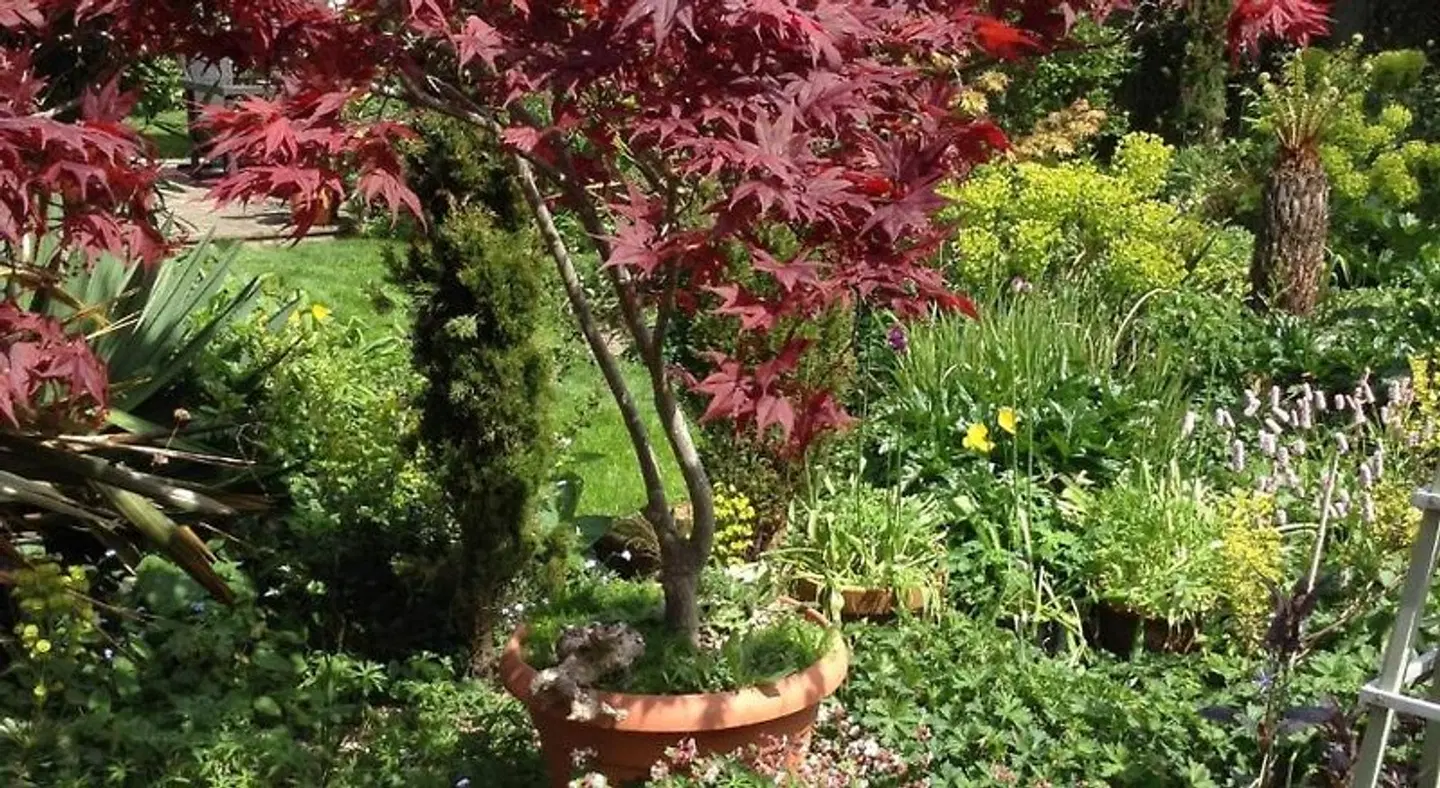 The Peels B&B Garten