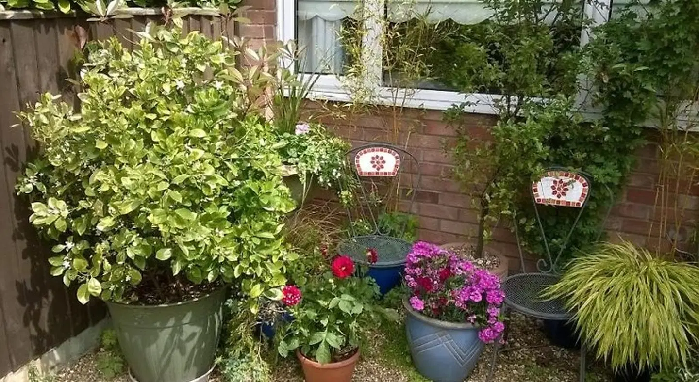 The Peels B&B Garten