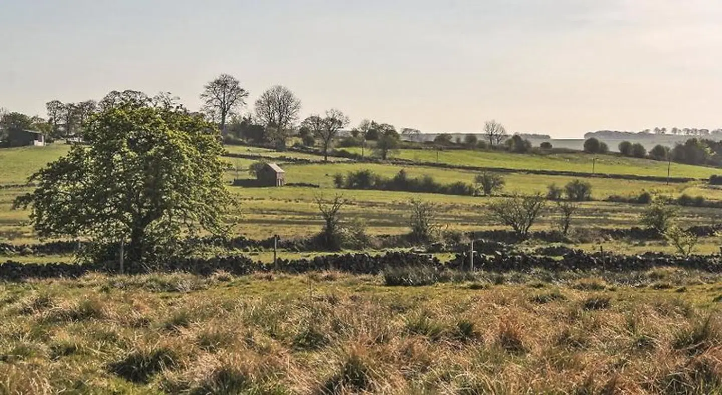 Moorland View Farm B&B LANDSCAPE