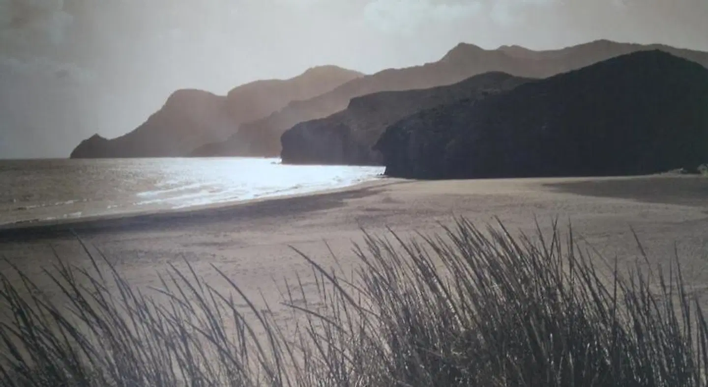 Driftwood B&B Weymouth LANDSCAPE