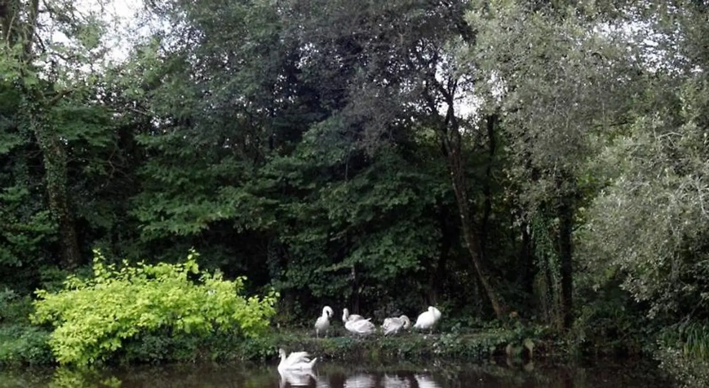 Fferm y Felin LANDSCAPE