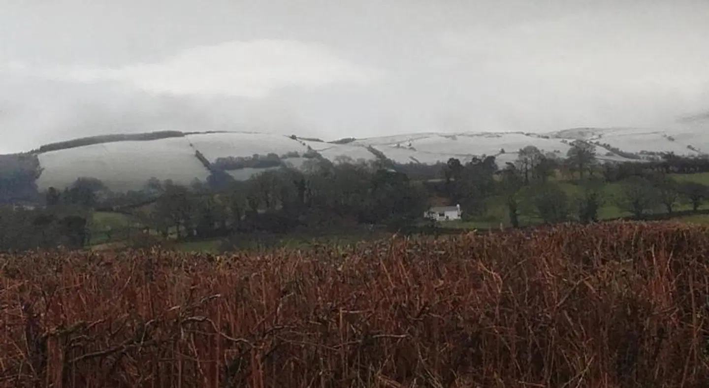 Ty Newydd Bed and Breakfast LANDSCAPE