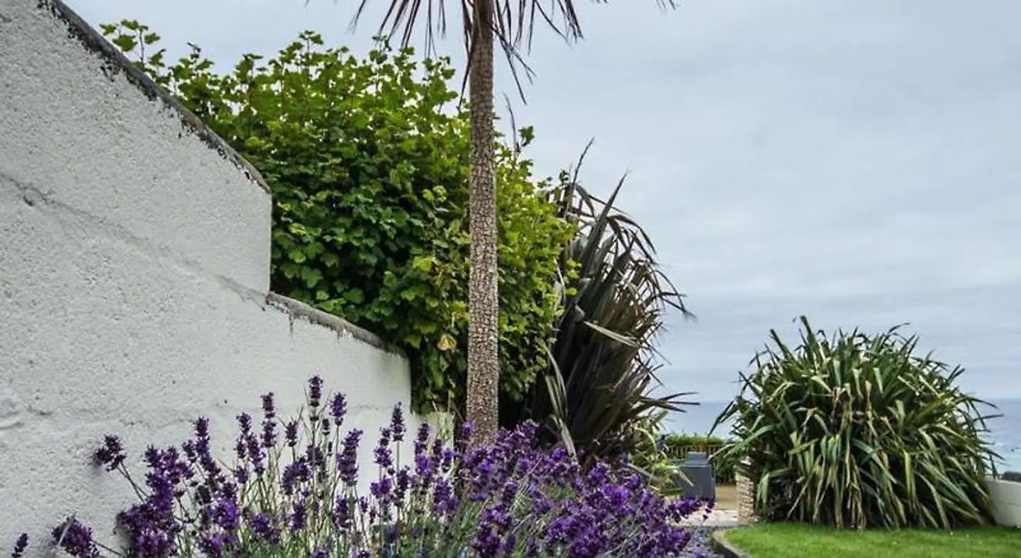 Atlantic Heights Guest House Garten