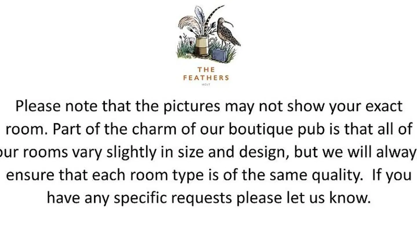 The Feathers Hotel MODEL_IMPRESSION