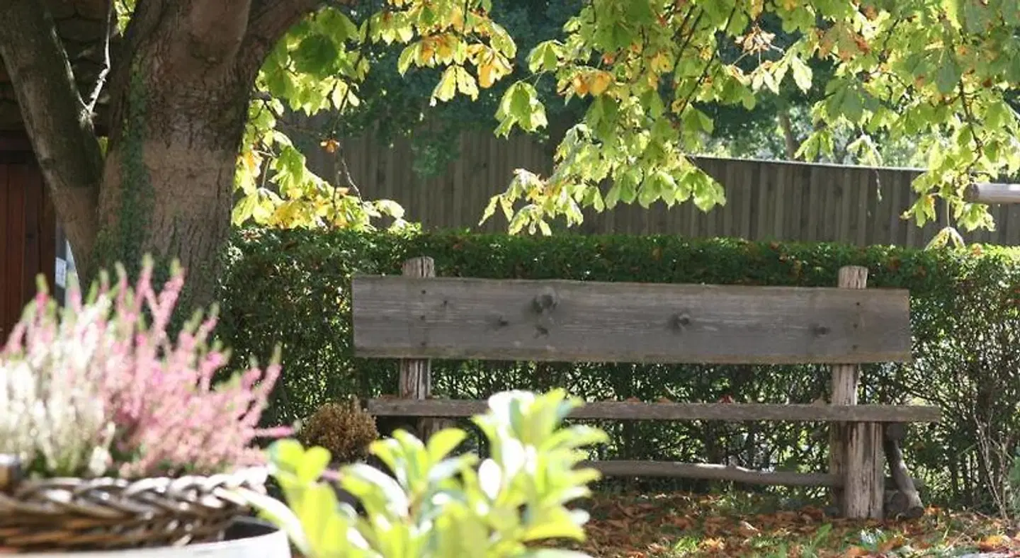 Wild Garten