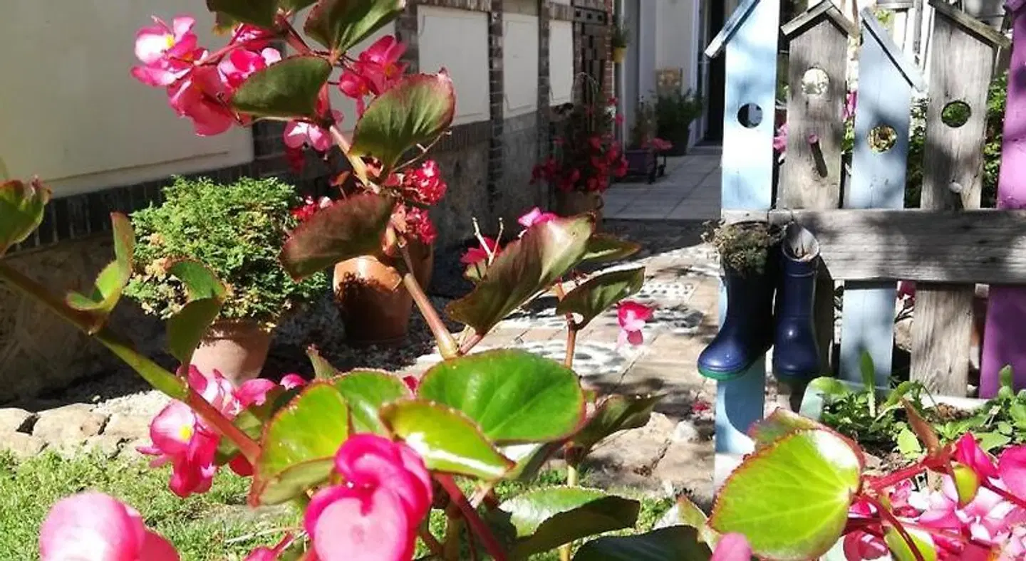 Le Coq en pâte Garten