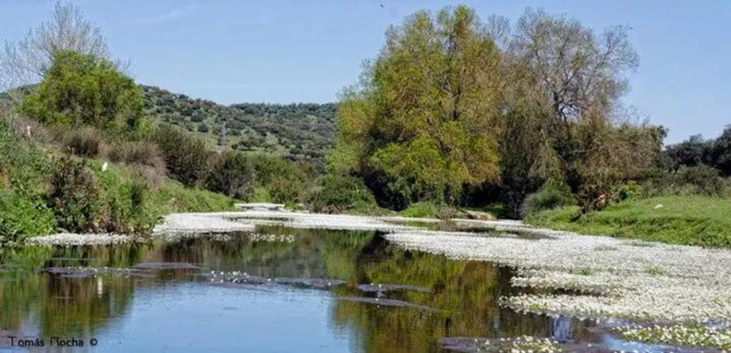 Hostal El Camionero LANDSCAPE