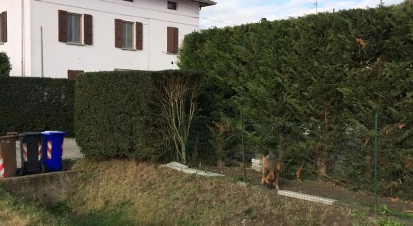 La Fossetta B&B Tiere
