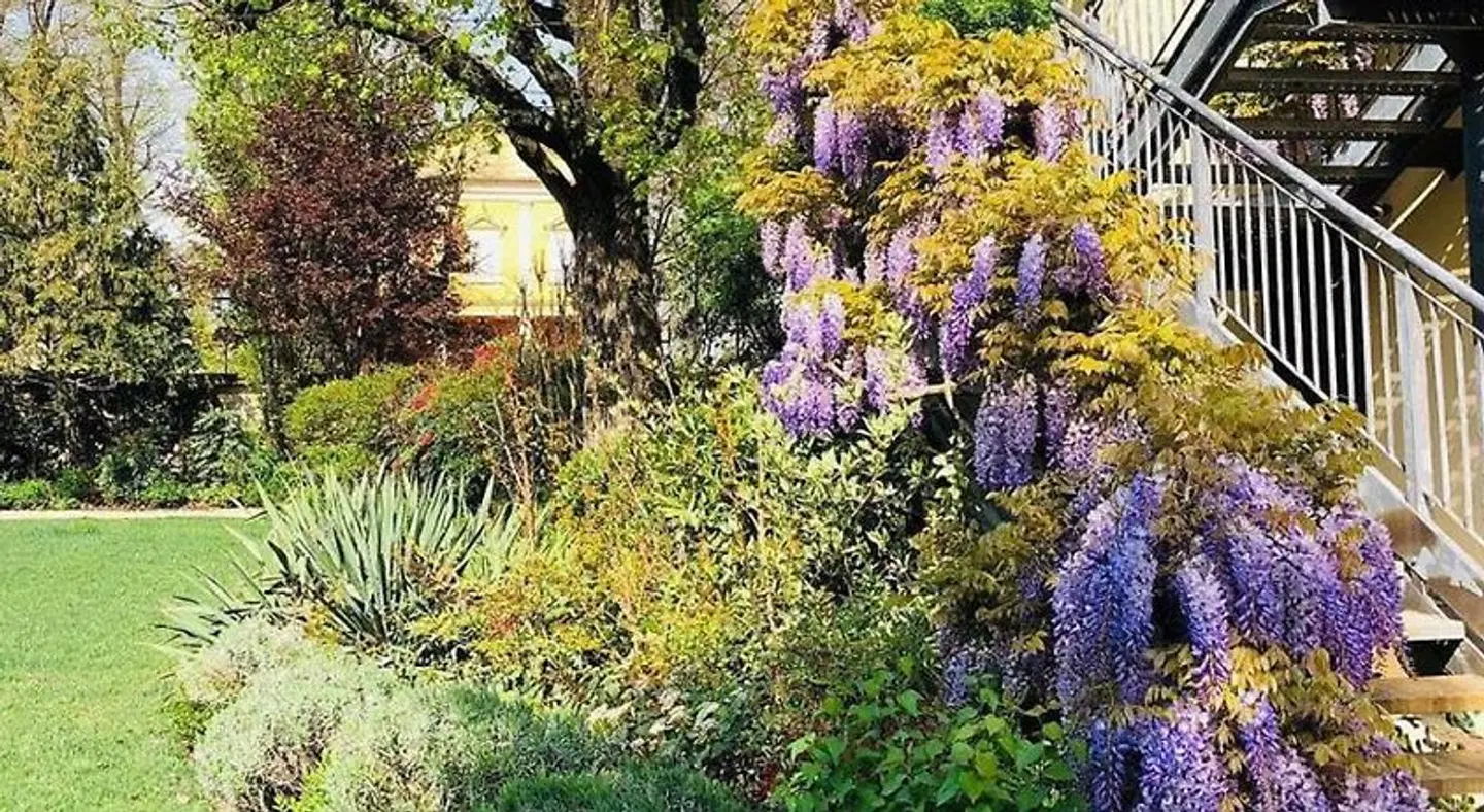 Villa Nabila LANDSCAPE