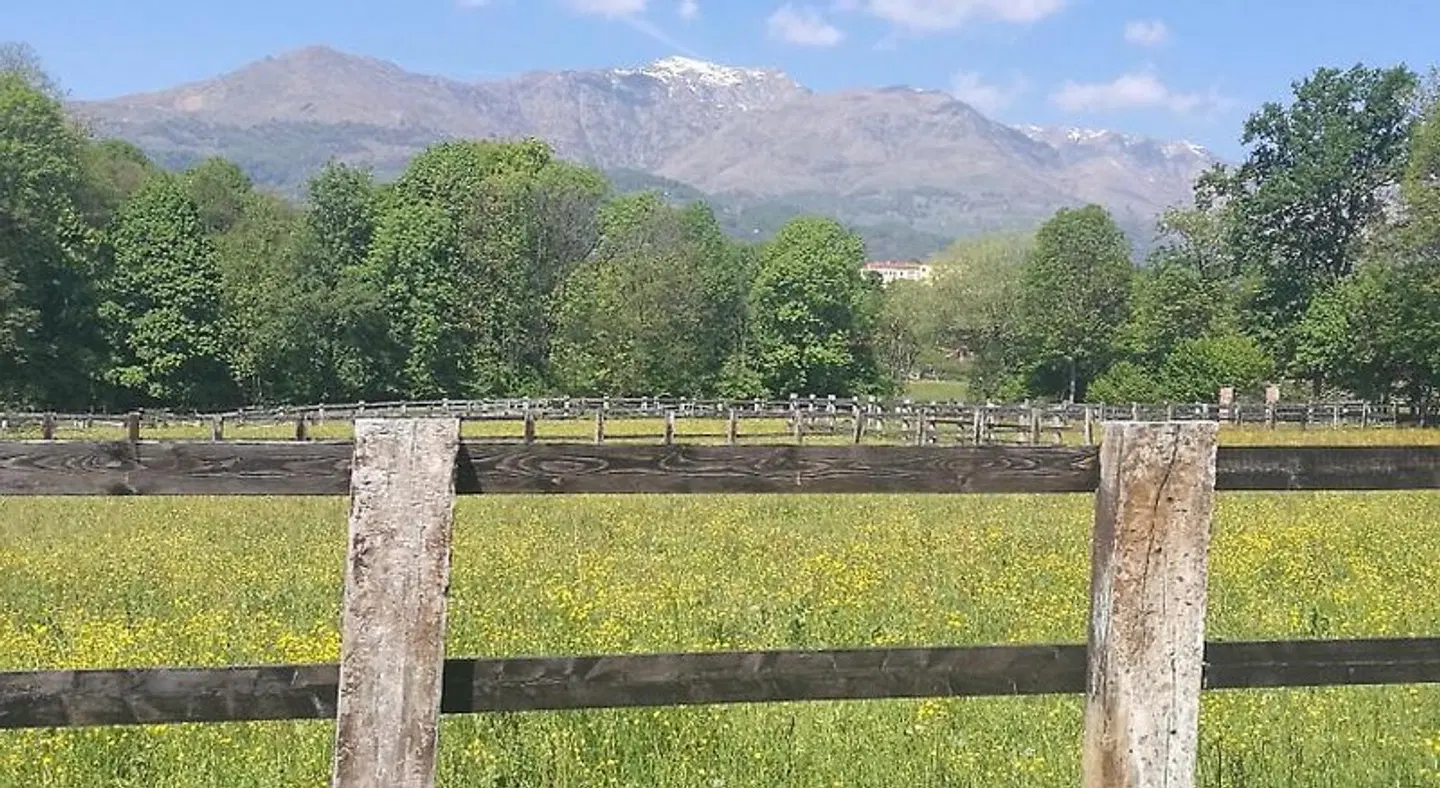 Antica Cascina del Medico LANDSCAPE