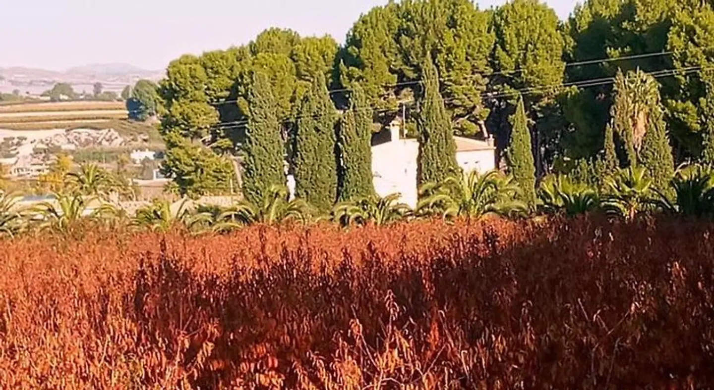 Casa de La Campana LANDSCAPE