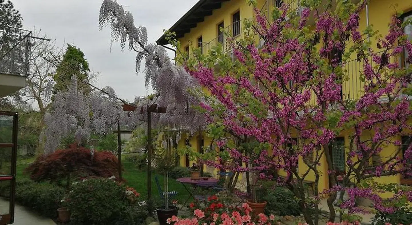 Agriturismo Tra Serra E Lago EXTERIOR