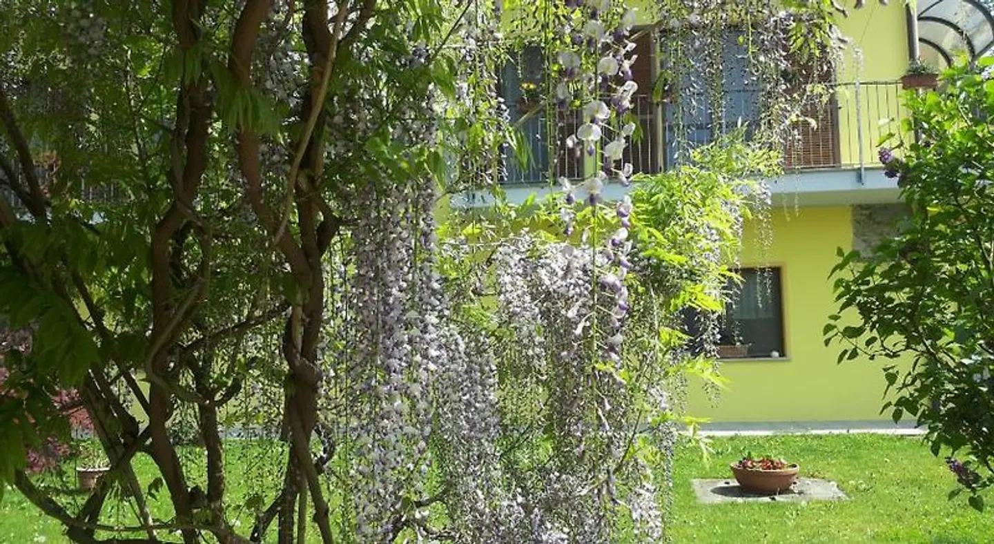 Agriturismo Tra Serra E Lago Garten