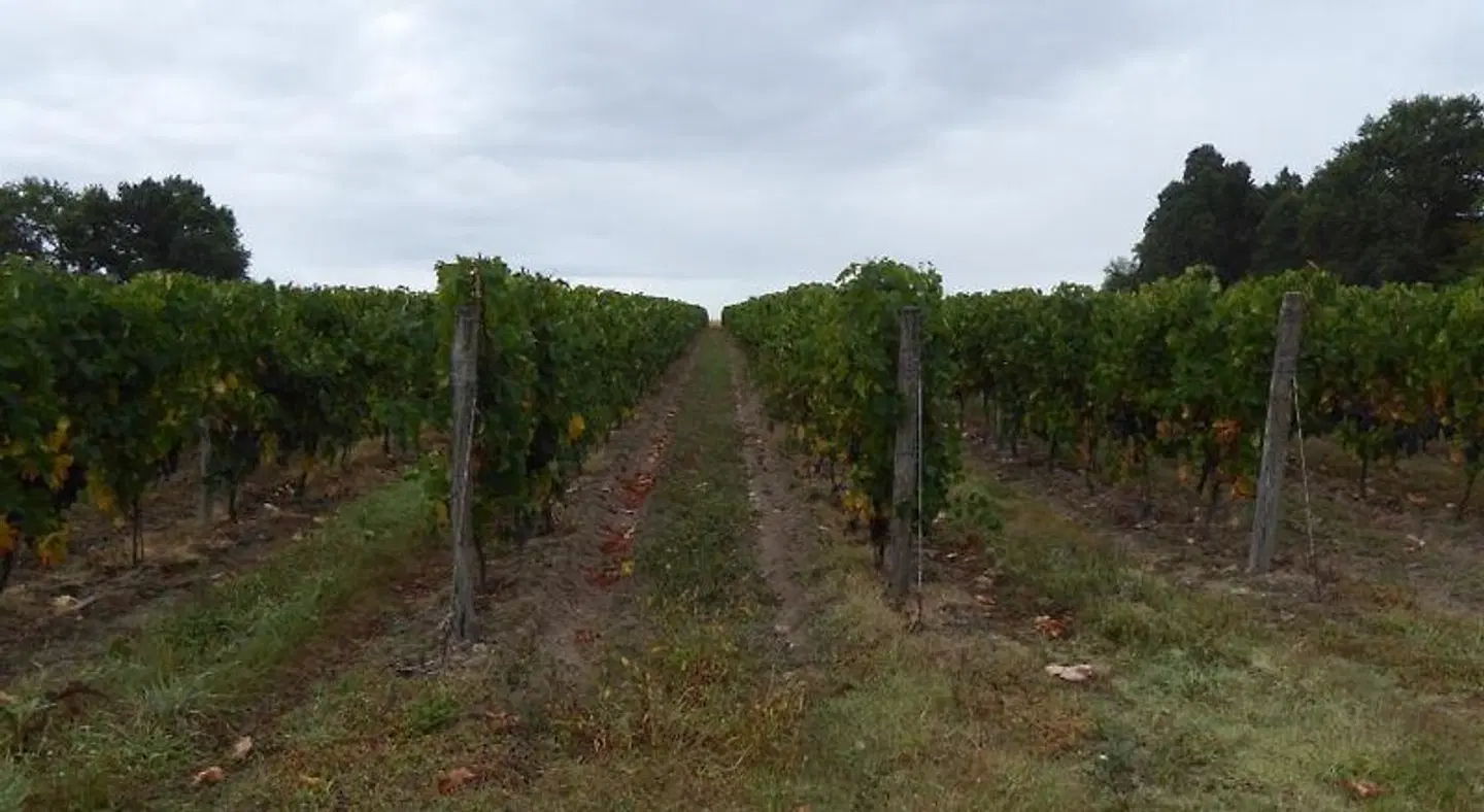 Château des Salles LANDSCAPE