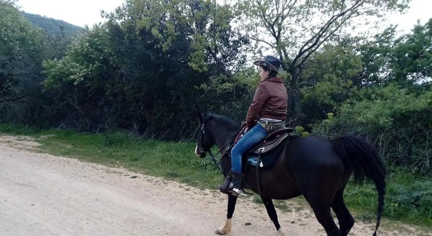 Gio Horses B&B SPORTS_AND_LEISURE